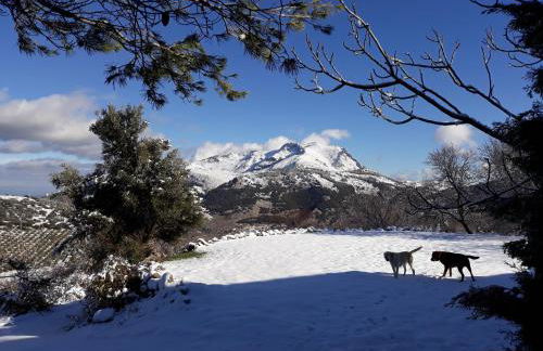 Cabañas Imagina - Foto 7