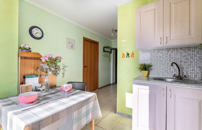 Apartments Vesta at Ilyushin str. - Foto 10