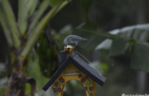 A Casinha Lumiar - Foto 42