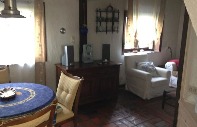 Dike House Near Breskens With Stream Garden - Photo 17