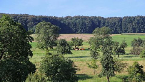 Ferienhof Knoll - Photo 3