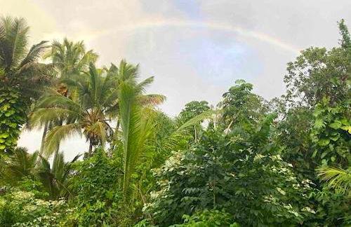 Seaside House and Aloha Bungalow - Foto 4