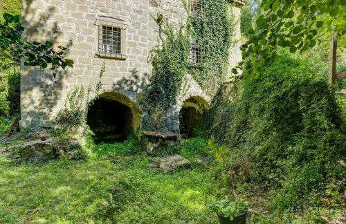 Family Mill Stay With BBQ - Foto 44