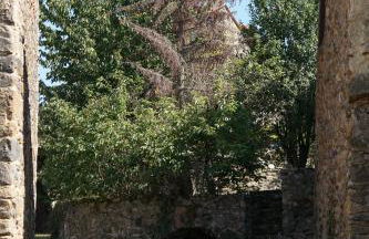 Sur les Rives du Haut Allier - Foto 25