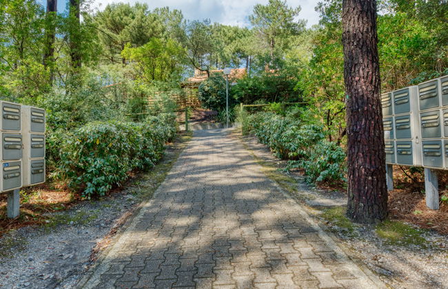 Les Cracks - Les As - Foto 19