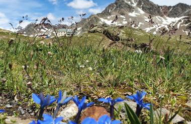 Il Balcone Fiorito - Foto 23