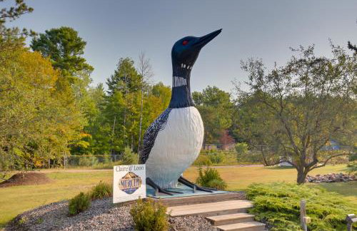 Cozy Lakefront Cabin with Indoor Gas Fireplace! - Foto 29