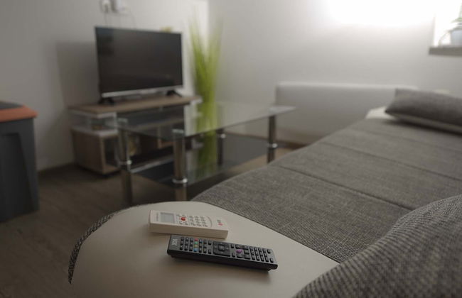 Apartments Rikli Rodine near Bled - Foto 70