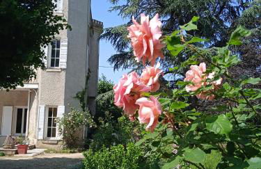 Maison calme avec piscine entourée de son parc - Foto 8
