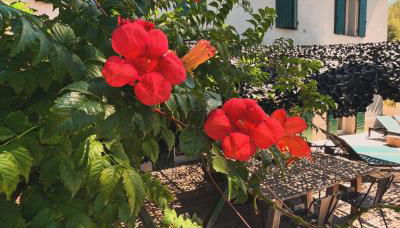 Villavos- Le Bocage - Photo 5