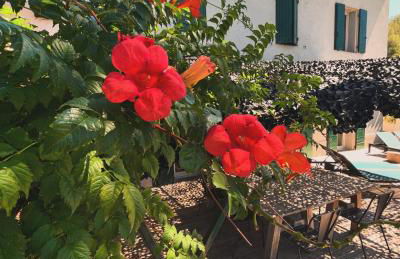 Villavos- Le Bocage - Photo 5