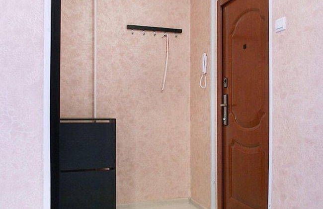 ApartLux Yuzhnaya - Foto 16