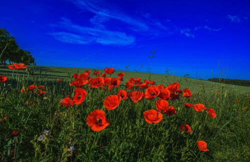 Apartamenty na Wzgórzu Boho 1- Jacuzzi, sauna, survival, free parking - Foto 35