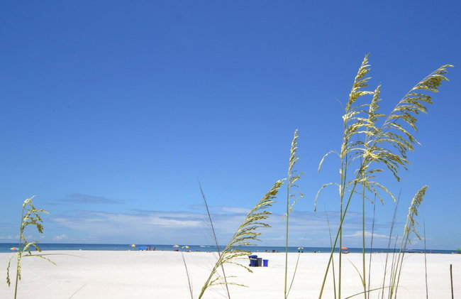 Waves by Distinctive Beach Rentals - Photo 66