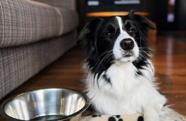 Domki 1010 m - Foto 64