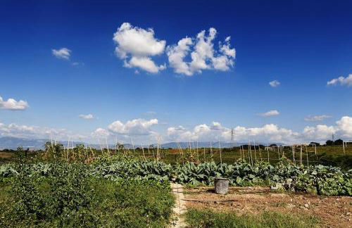 Merumalia Wine Resort - Foto 23