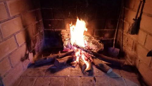 El Almendro De La Tia Teresa - Foto 2