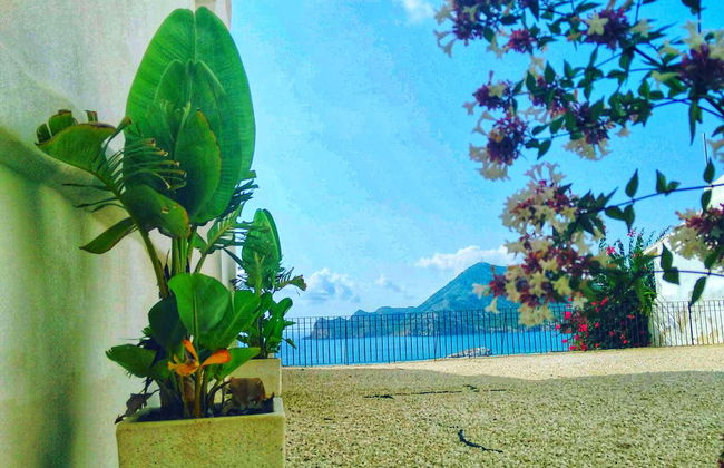 Free tour por Altea - Foto 6