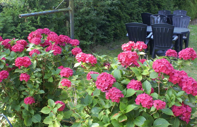 5 bedroom House in Diever with garden and terrace - Photo 20