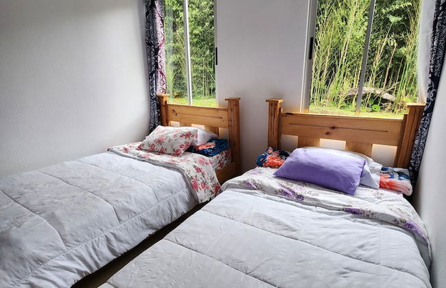 Selvática del Toro - Foto 7