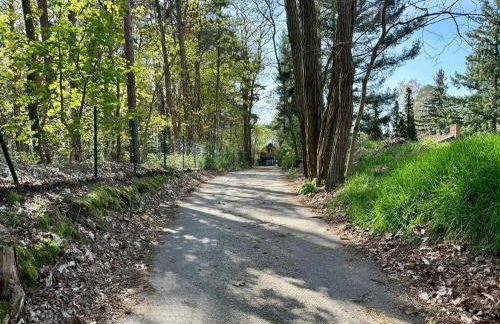 Bungalow-Jessern Ferienhaus im Grünen mit Seeblick - Foto 46