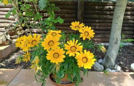 La casetta rossa - Foto 11