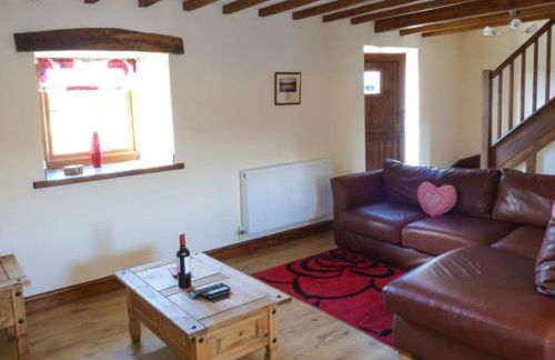 Bwthyn Y Wennol - Photo 4