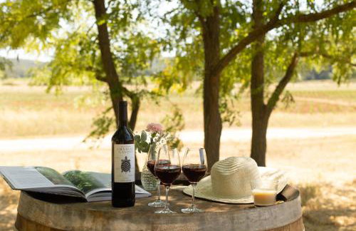 Gites de Chateau Gasqui - Foto 45