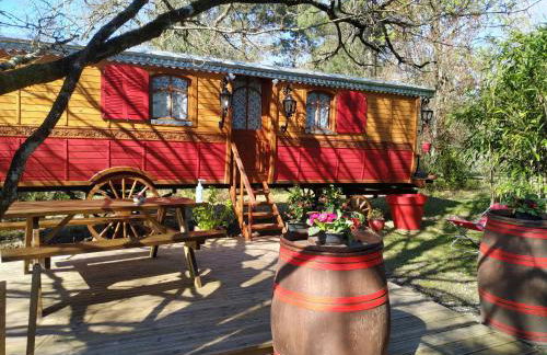 Les roulottes Vesta - Foto 35