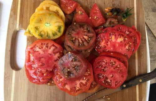 Studio Cabin Suite on Organic Farm Stay near Taos, New Mexico - Foto 44