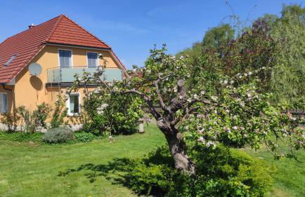 Küstenblüte - Foto 27