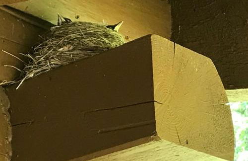 Roscoe Retreat - Foto 6