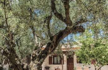 Agrikia Villa - Foto 48