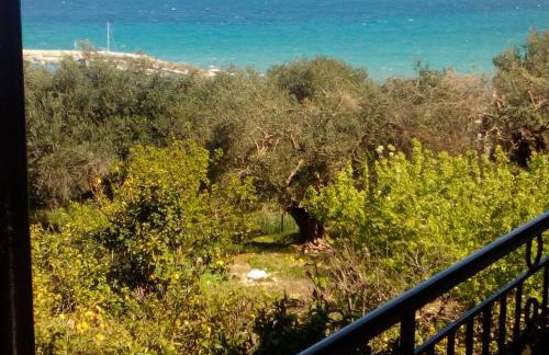 Maria's Paradise - Foto 32