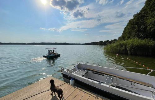Johatsu - Między niebem a rumianem - Foto 7