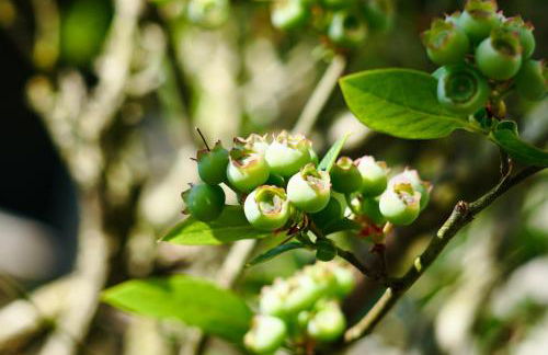 - Zuhause im Weilerblick - - Foto 19