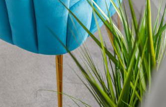 Smugglers Snug - Foto 40