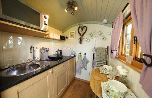 Upper Gelli Luxury Holiday Lodge, Converted Dairy & Cosy Shepherds Huts - Photo 55