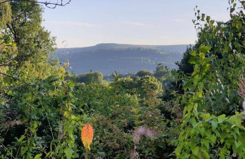 Brecon Beacons Old Vicarage, stunning garden & views - Foto 20