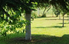 Meteora countryside villa - Foto 56