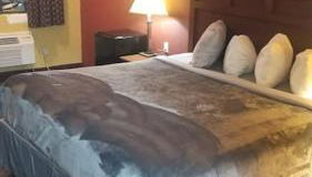 Hotel 2 Queen Beds Hotel Room 212 Booking - Foto 3
