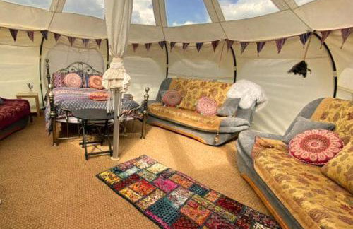 Glamping With Llamas - Foto 92