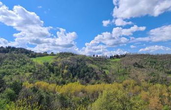 Colleverde Country House Beauty&Wellness - Foto 4