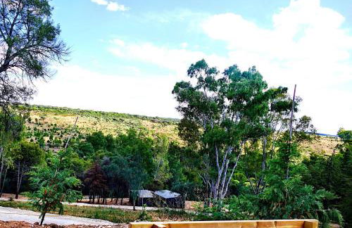 Herdade Clube Tiro Monfortinho - Foto 52