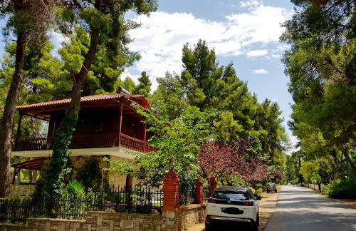 Wood and Stone Villa - Foto 15