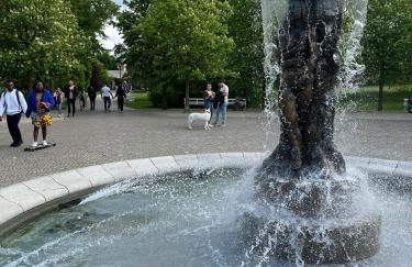 FeWo Zum Ritterorden - Foto 20