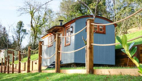 Little Silver Fox - Foto 3