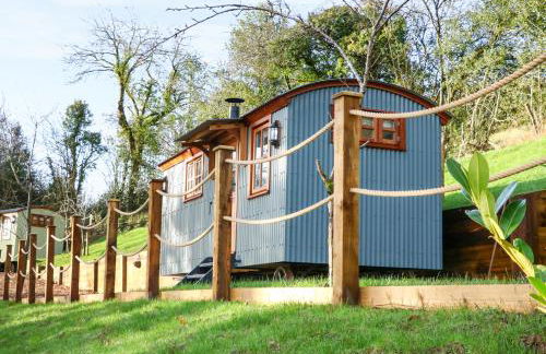 Little Silver Fox - Foto 3