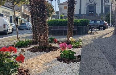 Fior dell'Etna - Foto 38