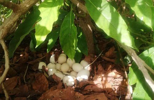 Casa cueva El Balcón del Cortijo - Foto 27